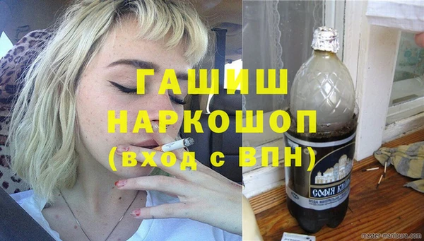 ешки Бородино