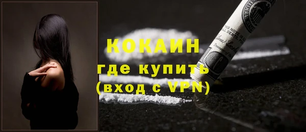 ешки Бородино