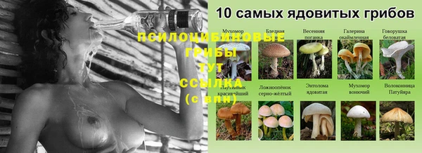 прущий лед Бронницы