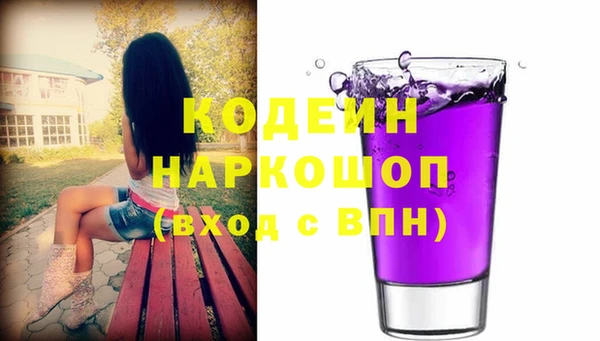 ешки Бородино